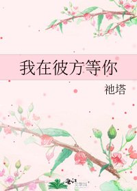 《我在彼方等你》