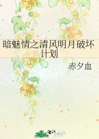 暗魅情之清风明月破坏计划