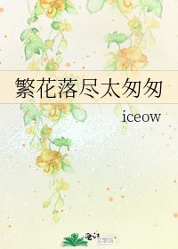 《繁花落尽太匆匆》