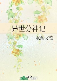 《异世分神记》