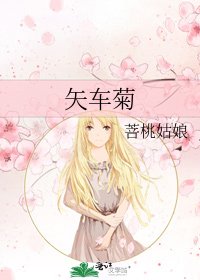 《矢车菊》