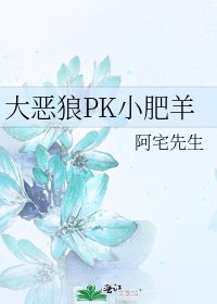 《大恶狼PK小肥羊》