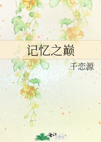 记忆之巅