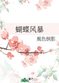 《蝴蝶风暴》