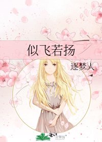《似飞若扬》