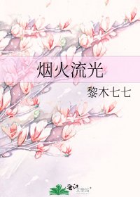 《烟火流光》