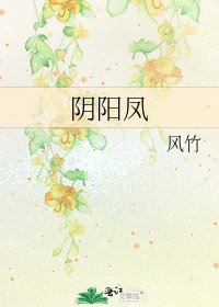 《阴阳凤》