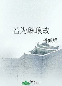 《若为琳琅故》