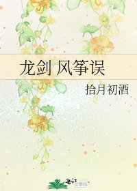 龙剑 风筝误