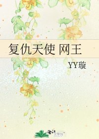 复仇天使 网王