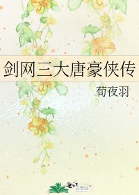 《剑网三大唐豪侠传》