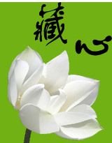 南陈:藏心
