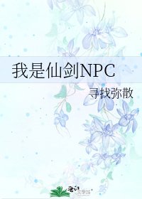 我是仙剑NPC