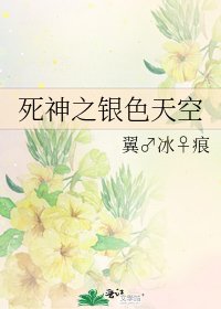 死神之银色天空
