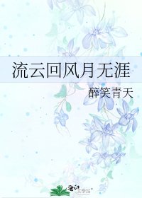 《流云回风月无涯》