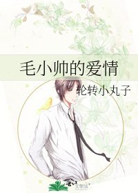 毛小帅的爱情