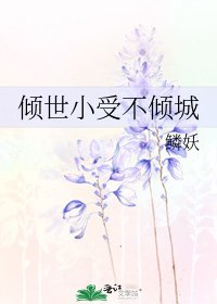 《倾世小受不倾城》