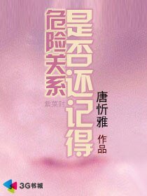 《危险关系:是否还记得》