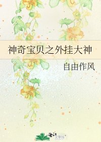 《神奇宝贝之外挂大神》