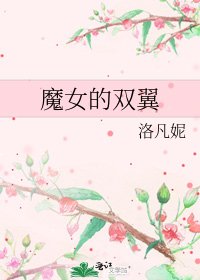 魔女的双翼