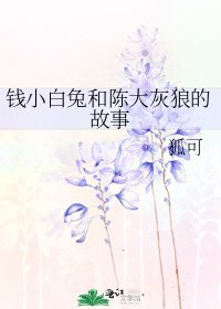 钱小白兔和陈大灰狼的故事