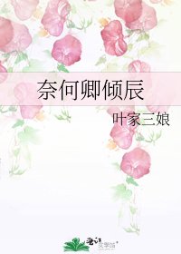 《奈何卿倾辰》