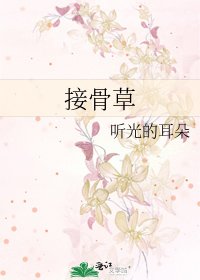 接骨草