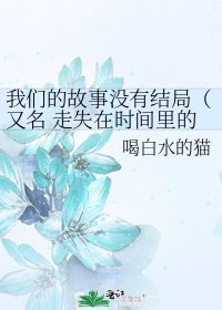 《我们的故事没有结局(又名 走失在时间里的我的你)》