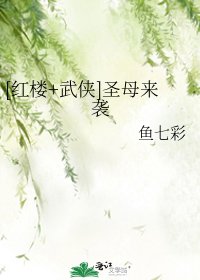 [红楼+武侠]圣母来袭