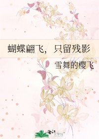 蝴蝶翩飞，只留残影