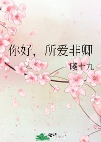 《你好,所爱非卿》