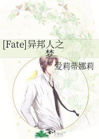 [Fate]异邦人之梦