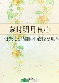 秦时明月良心