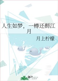 《人生如梦,一樽还酹江月》