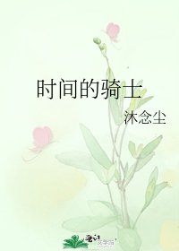 《时间的骑士》