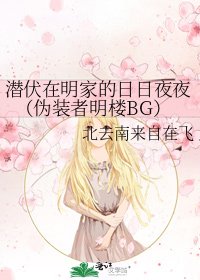 《潜伏在明家的日日夜夜(伪装者明楼BG)》