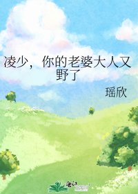 《凌少,你的老婆大人又野了》