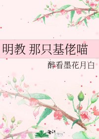 《明教 那只基佬喵》