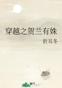 《穿越之贺兰有姝》
