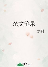 《杂文笔录》
