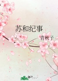 《苏和纪事》