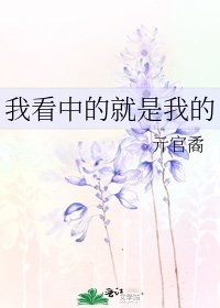 《我看中的就是我的》