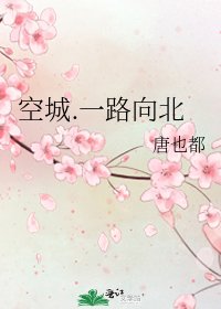 《空城.一路向北》