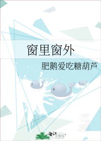 《窗里窗外》