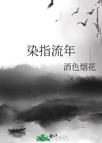 《染指流年》