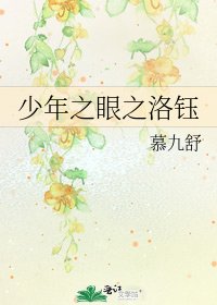 《少年之眼之洛钰》
