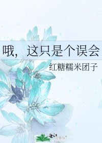 哦，这只是个误会