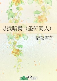 《寻找暗翼(圣传同人)》