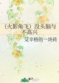 《(火影角飞)没头脑与不高兴》