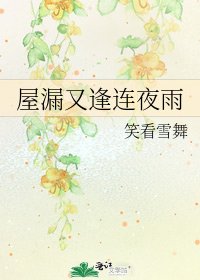 屋漏又逢连夜雨